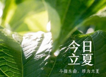 IM体育appV2.6专业版