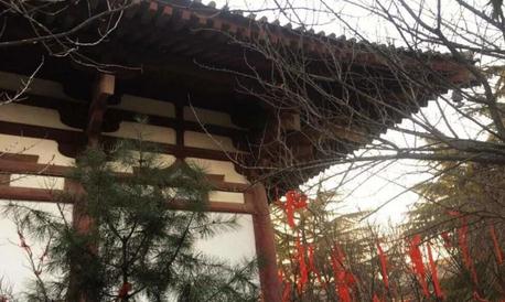 开云官方手机登录入口
