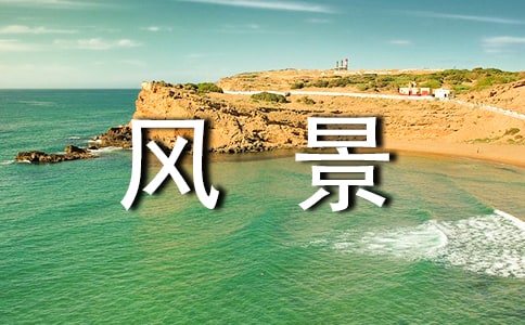 中国人寿保险股份有限公司字体