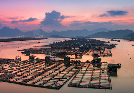 傲游云浏览器小红马版本