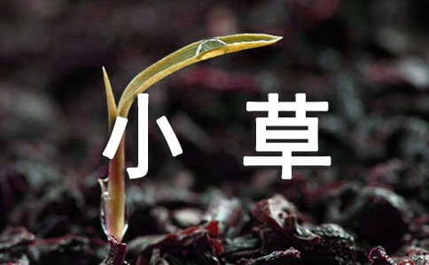 万龙觉醒