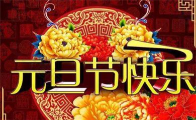 太阳在线安卓版二维码