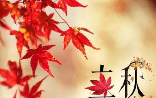 乐鱼体育中国V6.4专业版
