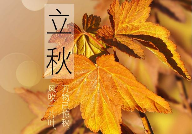 可牛杀毒u盘修复软件