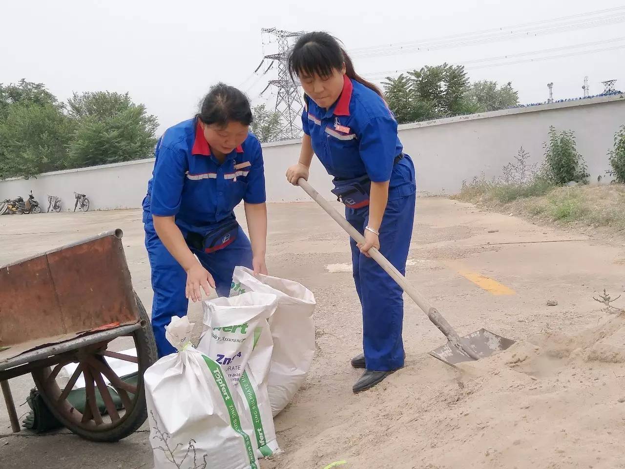 作业答案搜题神器