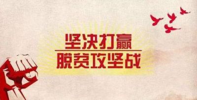 6686体育appV4.9专业版