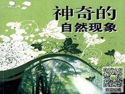 我的马儿
