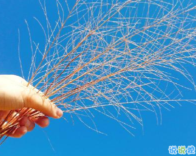 yabo体育appV7.9专业版