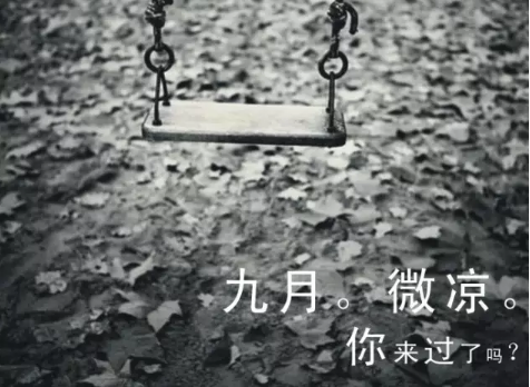 一起彩appV1.5专业版