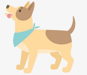 小熊洗车APP