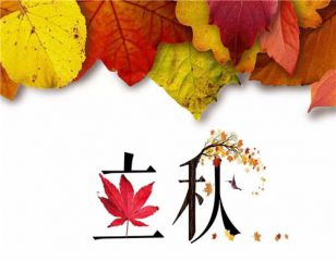 kaiyun体育app网页版登录入口V4.3专业版