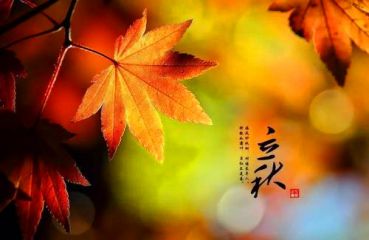 贵州药材APP