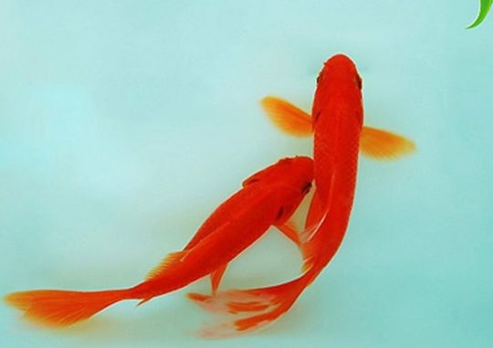 开云官方网页版登录2025最新版狩猎战斗场景