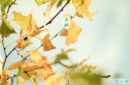 6600cc6公海彩船入口2025版新建筑风格展示