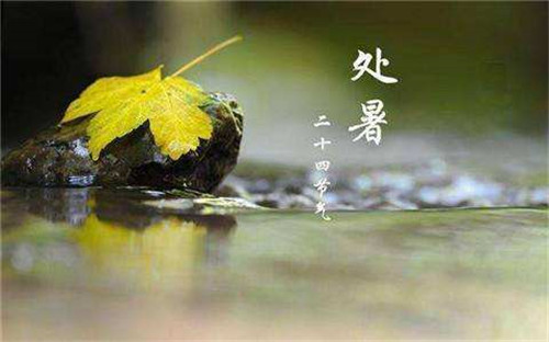 贵州药材APP