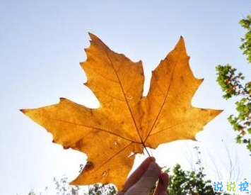 google app engine最新版