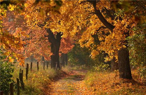 sgwin双赢彩票注册 2025最新版新增关卡场景