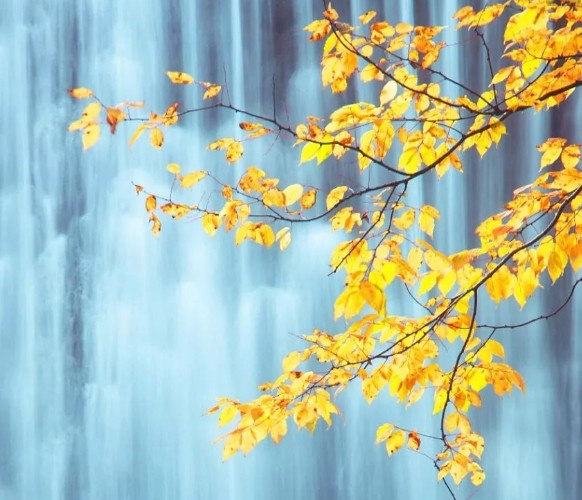 M4A音乐转换器(Bigasoft M4A Converter)