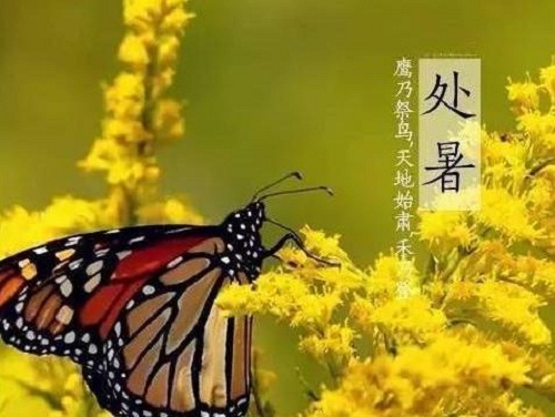 ku游体育入口安卓版二维码