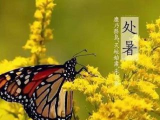 河南汽车维修平台APP