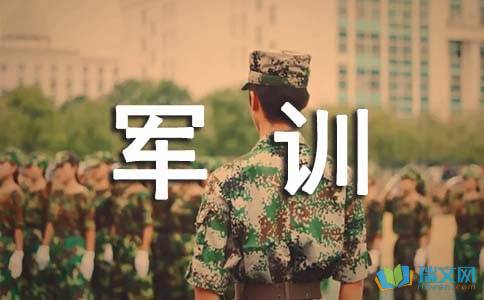 pptv网络电视去广告vip版