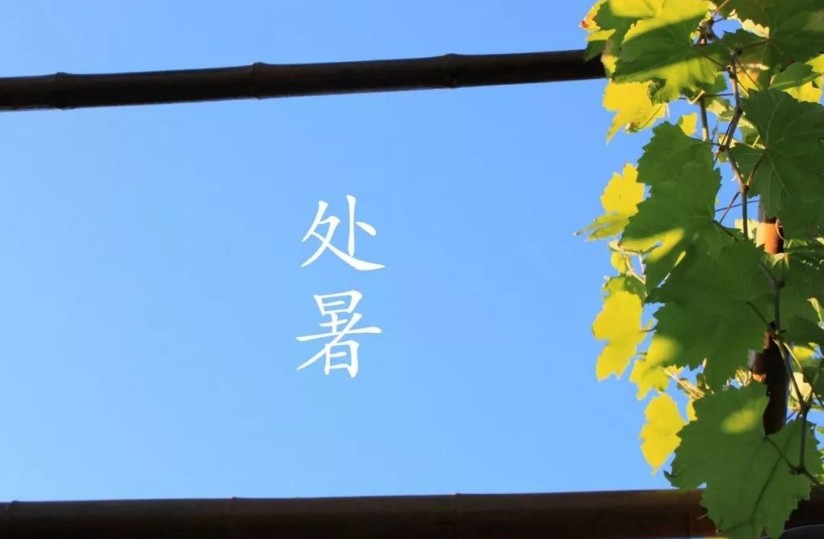 小哨兵一键还原