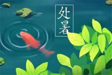 贵州药材APP