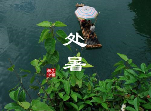5000个超级QQ表情包