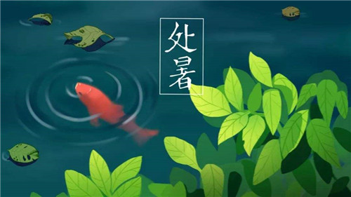 韦德app安卓版二维码