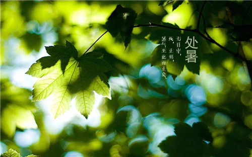 爱赢游戏APP2025版阵容对战实际画面