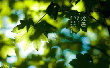 体育官网APPV3.5专业版