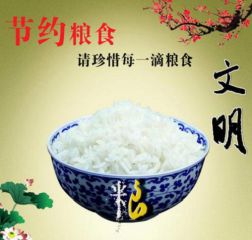 太阳网城appV7.1专业版