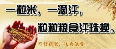 nb88新博体育appV2.6专业版