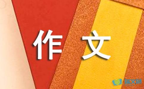 灵魂筹码2025版本更新内容概览图