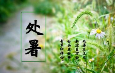 小熊洗车APP