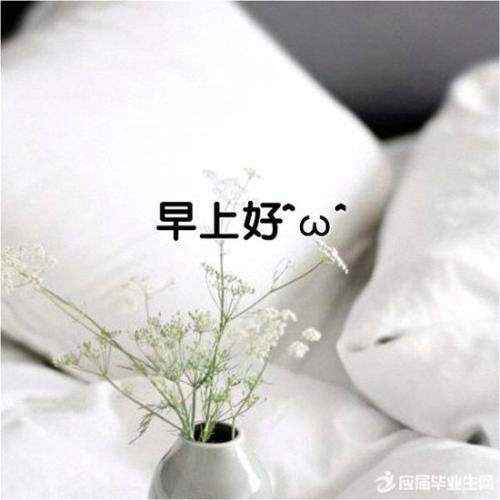 Kokapp安卓版二维码