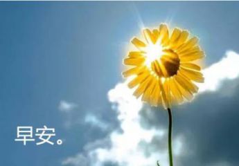 贵州药材APP