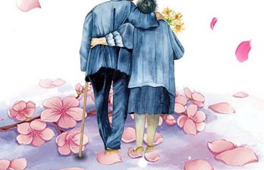 阿拉兔qq微信表情包