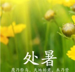 trace route app(tracert路由追踪工具)