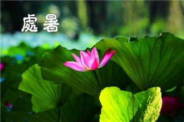 188金宝搏亚洲官方登录