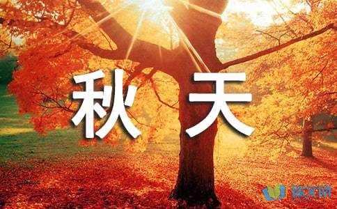太平洋电脑网iphone版