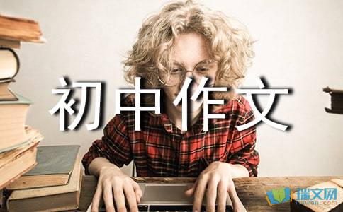 双截龙冒险中文版