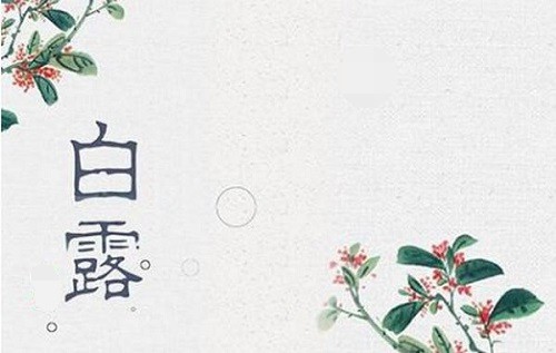 海红swf转exe批量转换器