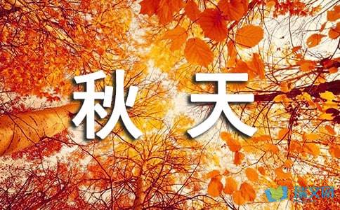 票房大卖王体验服