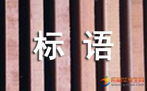 开云kaiyun官网下载V7.1专业版