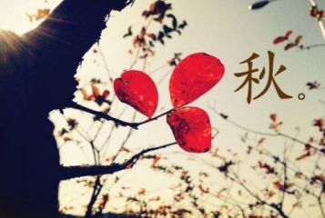 河南汽车维修平台APP