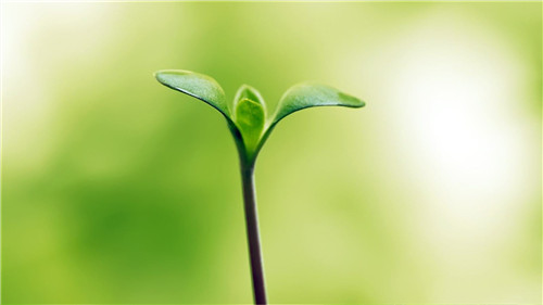 sunbet申搏安卓版二维码