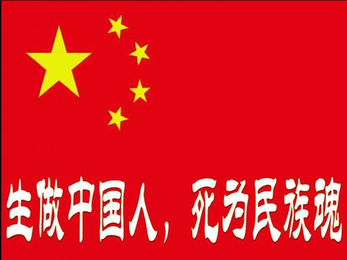 奇富借条
