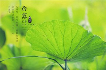 股经智能选股(股票分析)
