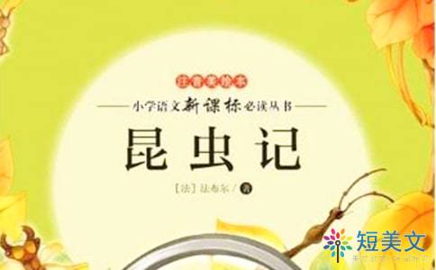 公海appV7.2专业版